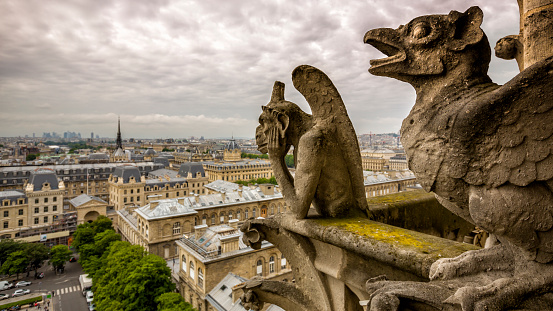 Gargoyle sitting on Notre Dame Cathedral and looking on Paris cityscape.\n\nThe focus is on the Gargoyle.