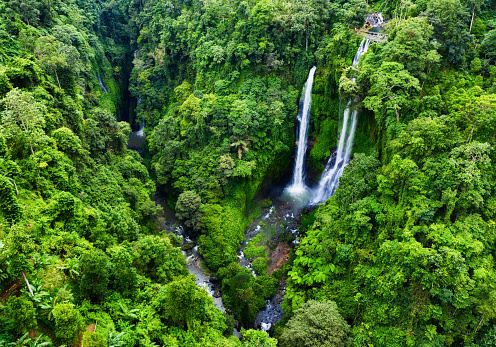 Bali. Indonesia. Aerial view on Sekumpul waterfall in the forest. View from a drone. Natural landscape in summer time from air. Travel and vacation image
