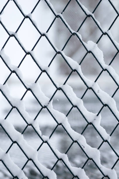 istock The fence covered with frost. 1298168779