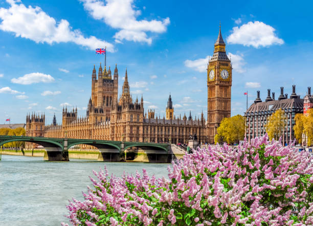 ハイドパーク、ロンドン、英国の春に咲く木 - 英国 ロンドン ストックフォトと画像