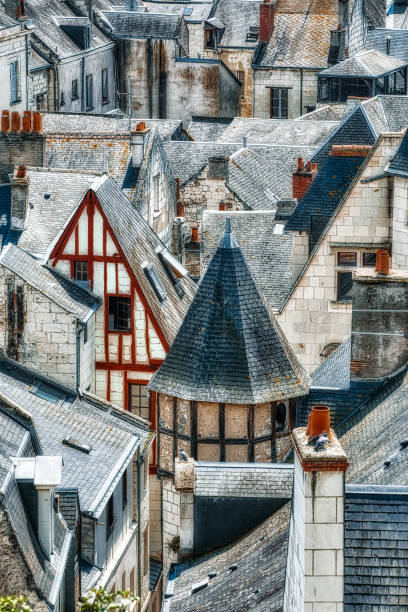 tejados en la famosa ciudad histórica de chinon en el valle del loira, francia - chinon fotografías e imágenes de stock