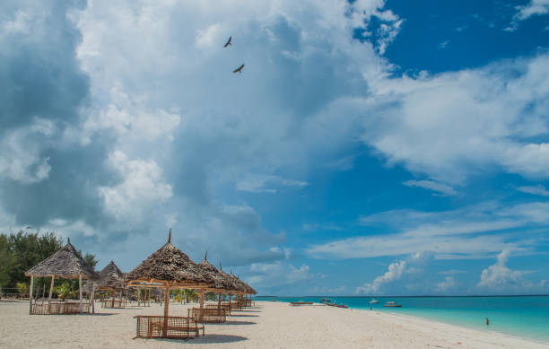 istock Paje beach in Zanzibar, Tanzania 1298173071