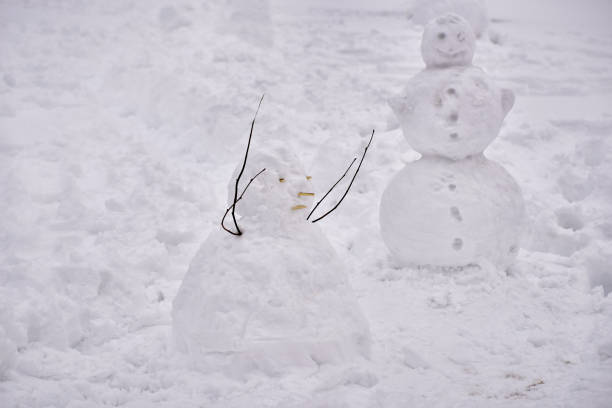 Group of snowman on snow covered land