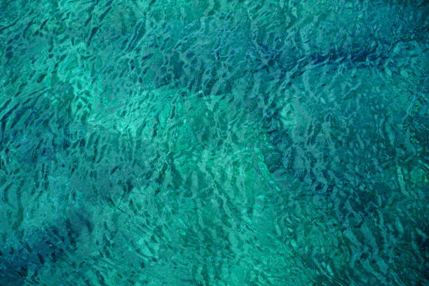 istock Turquoise sea surface, nature background, emerald color background 1298176505