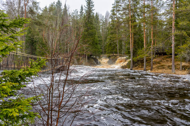 istock Akhinkoski waterfalls in Karelia 1298179128