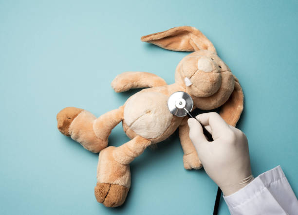 plush rabbit lies on a blue background, a male hand in a white latex glove holds a medical stethoscope plush rabbit lies on a blue background, a male hand in a white latex glove holds a medical stethoscope, top view, pediatrics sick bunny stock pictures, royalty-free photos & images