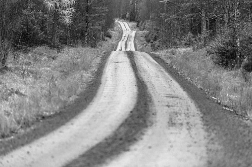 Long winding road trough a forest, black and white processed