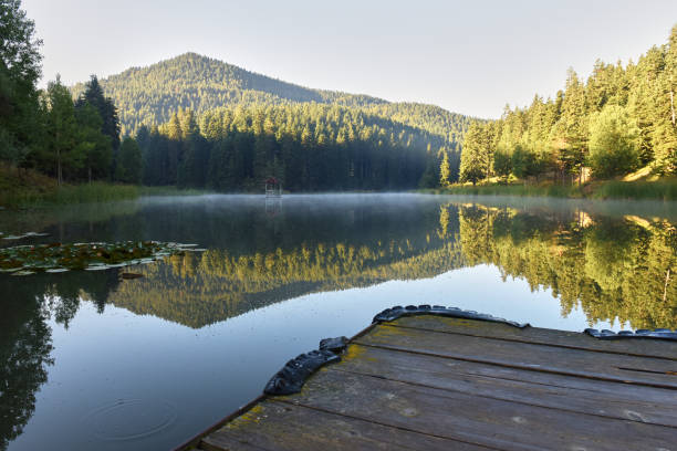 istock reflections of trees on the lake 1298185759
