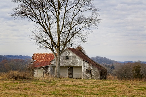 Small wooden barn with red cupola set against vibrant Vermont fall colors