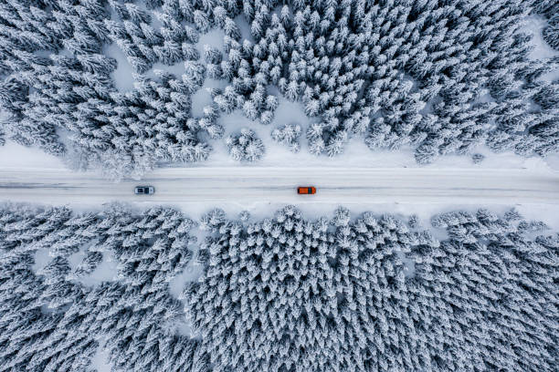 istock Fir tree forest and a road covered with snow seen from a drone perspective 1298188089