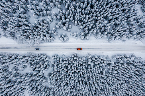 Winter wonderland that shows a snowy road with vehicles in the middle of thick fir tree forest covered with snow making beautiful scenery captured with a drone.