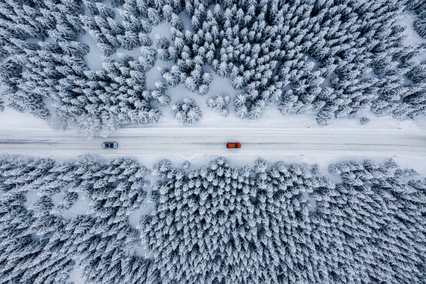 fir tree forest and a road covered with snow seen from a drone perspective - vista aérea de carro isolado imagens e fotografias de stock