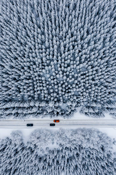 istock Magical winter scenery as cover of a book 1298188110