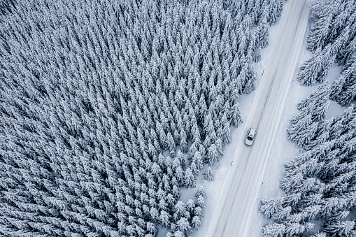 Drone perspective that shows a snowy road with one vehicle in the middle of thick fir tree forest covered with snow making amazing winter scenery.