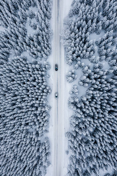 istock Snowy forest with road in the middle seen from a straight down perspective 1298188152