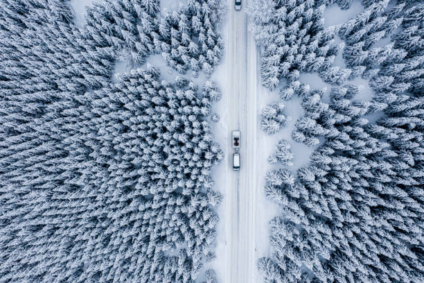 istock Snowy forest and a road seen from a straight down perspective 1298189052