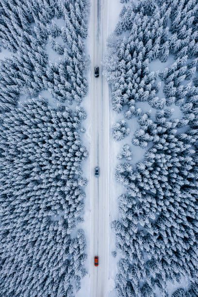istock Snowy forest and a road seen straight down from a drone 1298189095