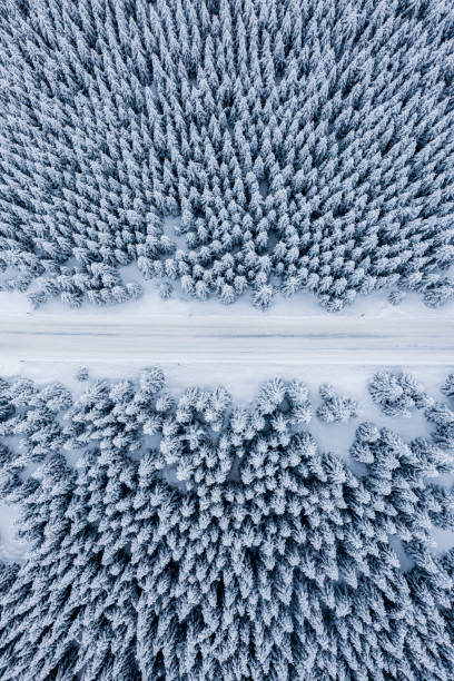 istock Beautiful winter scenery captured with a drone 1298189147