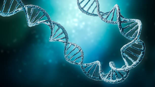 istock Double helix DNA strands on a blue background with copy space 3D rendering illustration. Genetics, science, genome, medecine, biology concepts. 1298190117