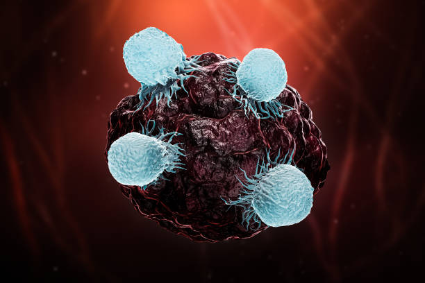 白血球またはtリンパ球またはナチュラルキラーtは、癌または腫瘍または感染した細胞3dレンダリングのイラストを攻撃する。腫瘍学、免疫システム、生物医学、医学、科学、生物学の概念。 - scientific micrograph ストックフォトと画像