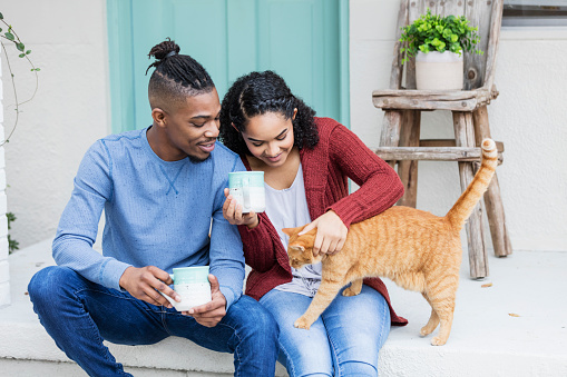 A young African-American couple hanging out together, drinking coffee on the front steps of their home, relaxing and petting a cat.