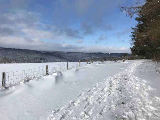 istock Snowy landscape and track with blue sky 1298192196