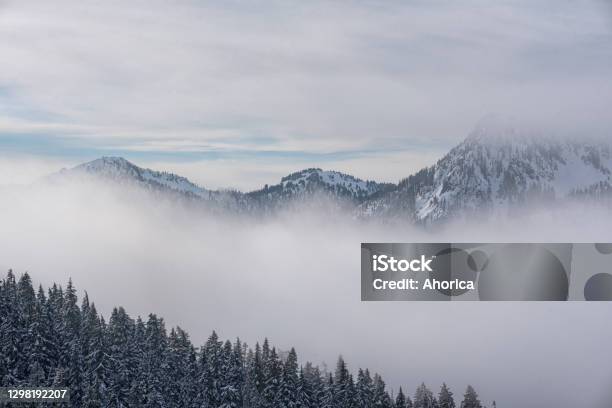 Snowy Mountain Diagonal Treeline Timberline Snoqualmie Pass Stock Photo - Download Image Now