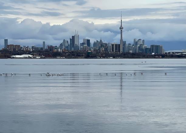Toronto skyline frozen lake