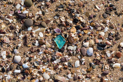 Seashells and small stones on the sand