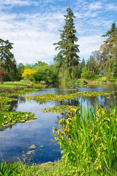 istock Medina City Park, Washington 1298197335