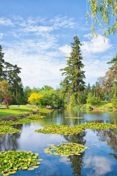 istock Medina City Park, Washington 1298197343