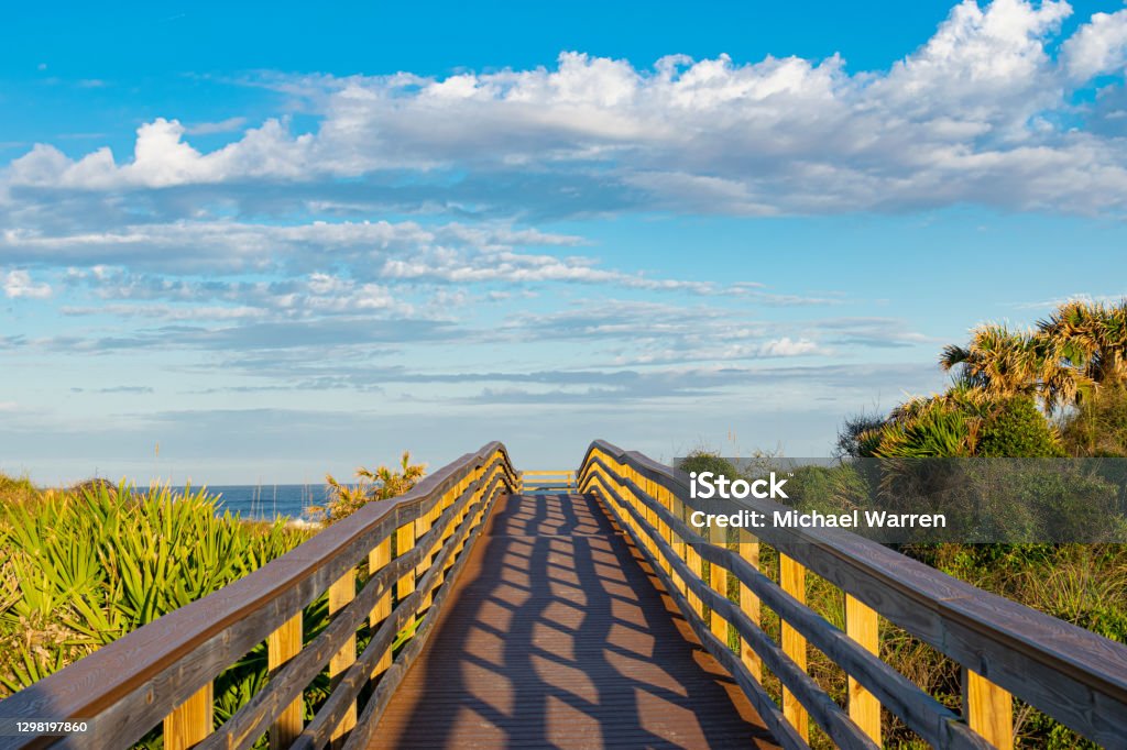 Boardwalk to the Beach in Florida Wooden boardwalk to the beach over a sand dune with sabal palms near St. Augustine, Florida. Daytona Beach Stock Photo