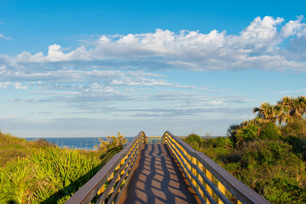 istock Boardwalk to the Beach in Florida 1298197868