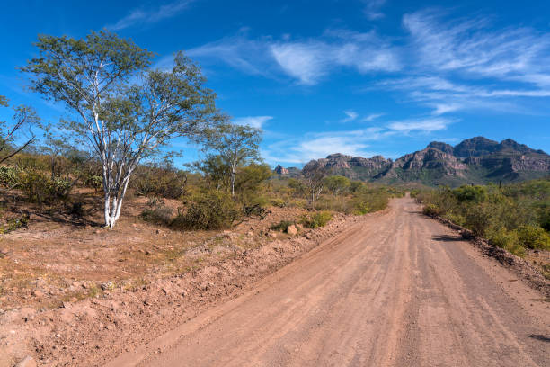 istock Baja Sur desert road 1298197982