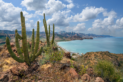 Coastal mountain range rising abruptly out of the Sea of Cortez south of Loreto. Baja California Sur, Mexico.
