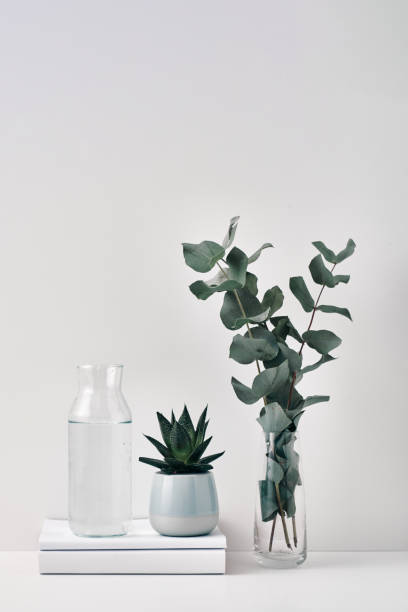 istock A transparent bottle with a cork stopper and a vase with eucalyptus branches on a white background. Natural and eco-friendly materials in interior decor. Copy space, mock up 1298198986