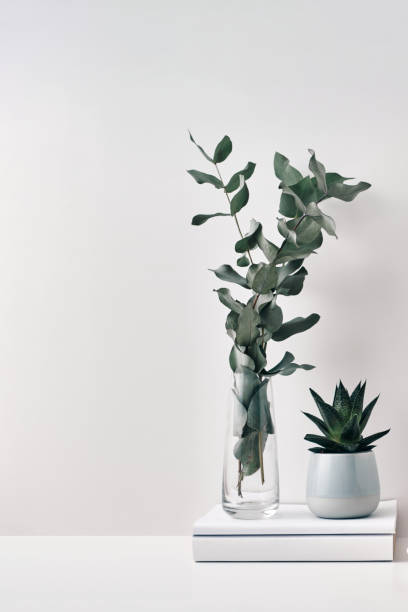 istock Vase with eucalyptus branches and a houseplant on a white background. Eco-friendly materials in the interior. Copy space, mock up. 1298199026