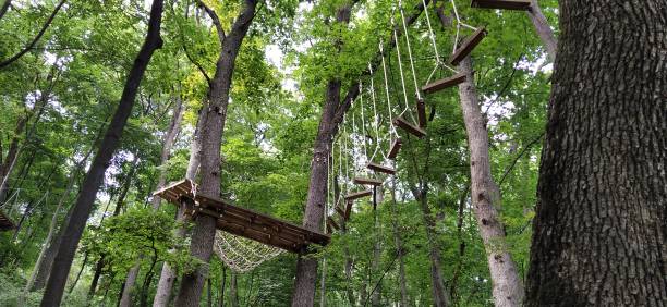 Go Ape Adventure. Located in national parks and local recreational facilities, Wooden and rope structures for movement. stock photo