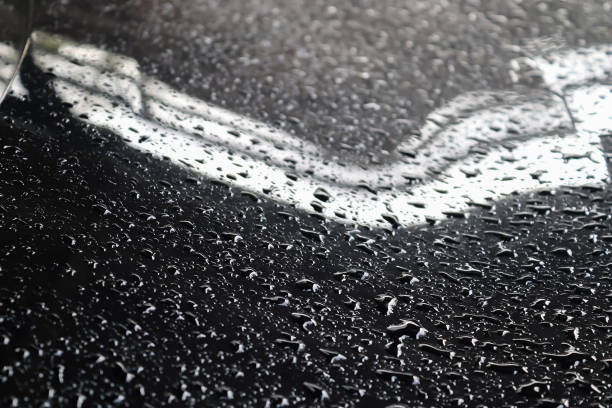 Rain drops on a black metallic car surface in a closeup view
