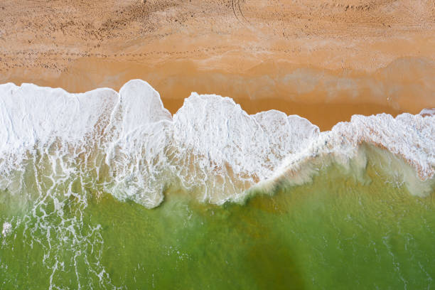 istock Aerial view of turquoise ocean waves on coastline 1298201467