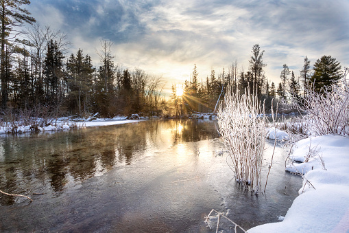 Cut River Frosty Winter Morning , Roscommon, Michigan