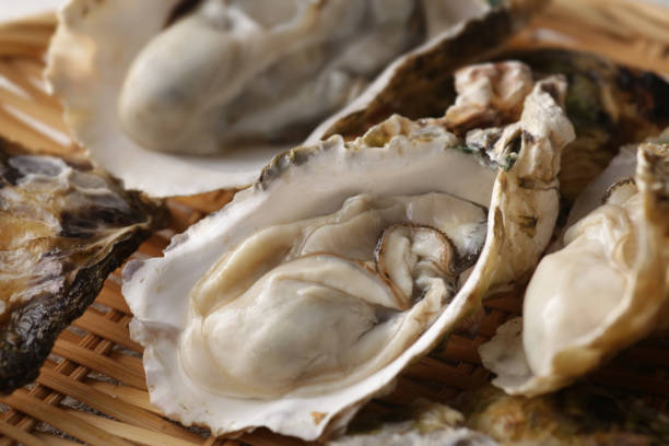 istock Oysters with shells of winter taste 1298208737