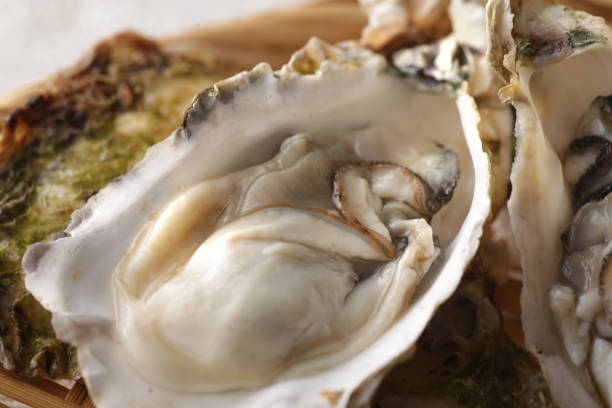 istock Oysters with shells of winter taste 1298208745