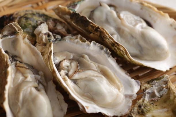 istock Oysters with shells of winter taste 1298208749