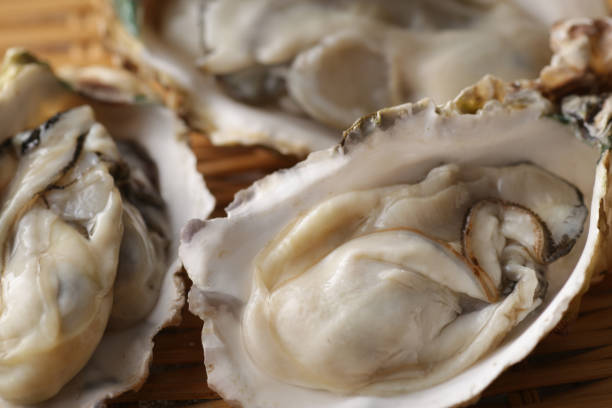 istock Oysters with shells of winter taste 1298208750