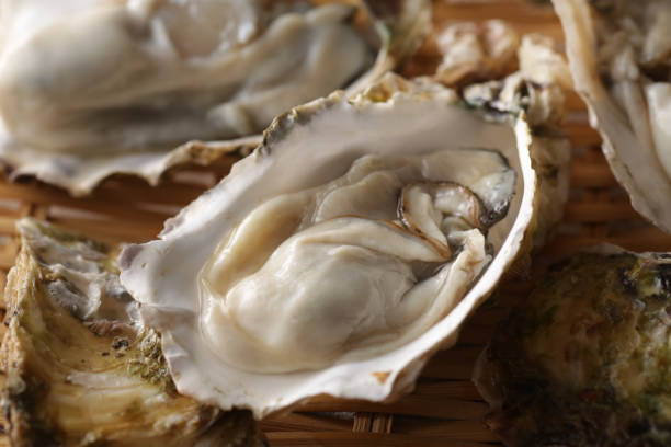 istock Oysters with shells of winter taste 1298208756