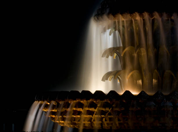 istock Fountain at night, Water Front Park, Charleston, S.C. 1298210817