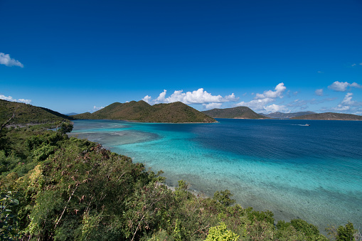 US Virgin Islands - Tropical Landscape