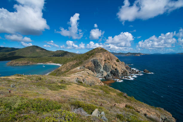 istock US Virgin Islands - Tropical Landscape 1298214390