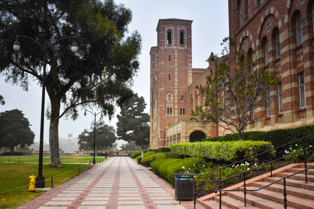 Campus, University of California in Los Angeles UCLA campus. Los Angeles California USA. ucla photos stock pictures, royalty-free photos & images